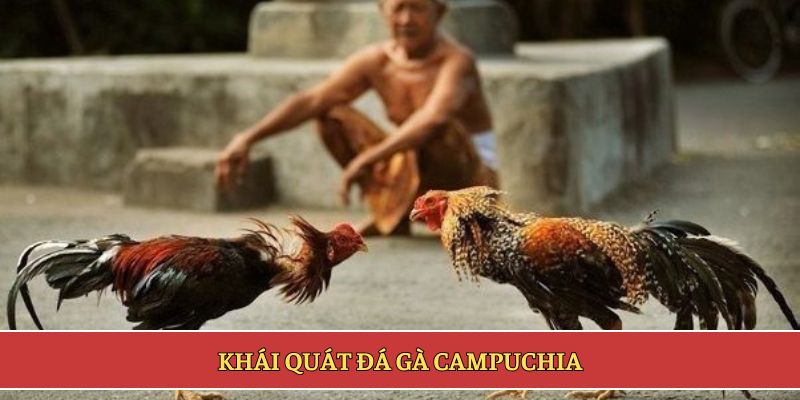 Khái quát đá gà Campuchia
