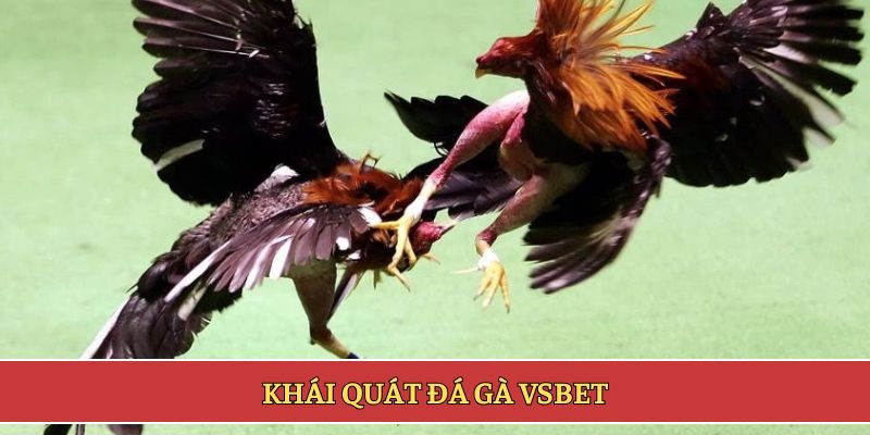 Khái quát đá gà VSBET