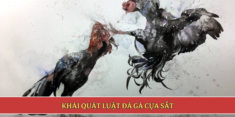 Khái quát luật đá gà cựa sắt