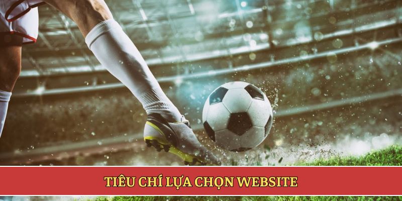 Tiêu chí lựa chọn website